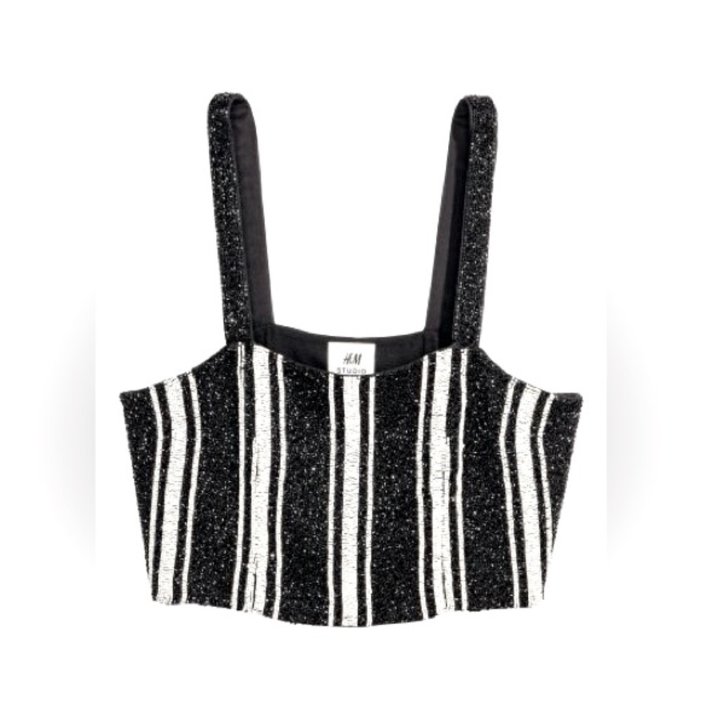 H&M Studio Collection Hand Beaded Cropped Chiffon Top.